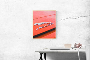 Jaguar Rain on Poster
